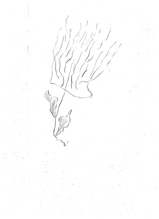 Kresba IV.